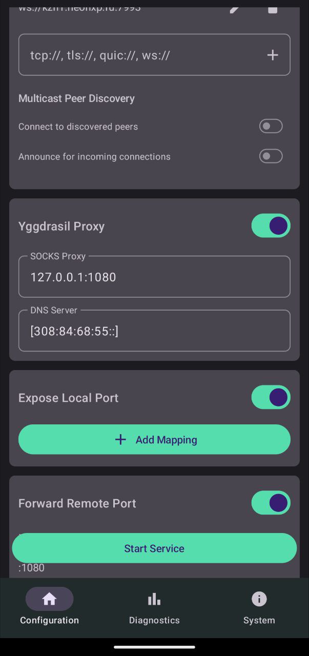 Настройка SOCKS5 Proxy в yggstack — поля адреса и DNS
